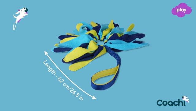 Coachi Tuggi Spider - Kampleksak