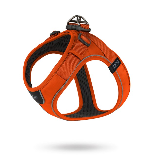 COMFORT WALK GO Sele - Orange Sun