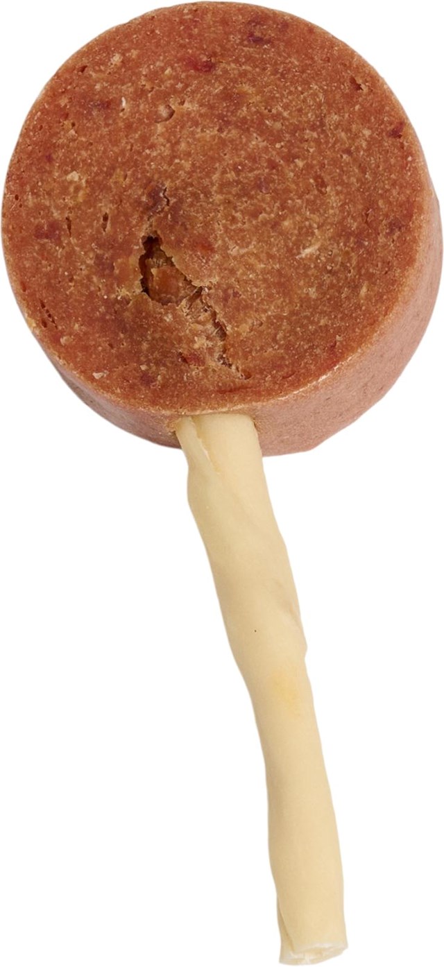 COMPANION DUCK LOLLIPOP 10G