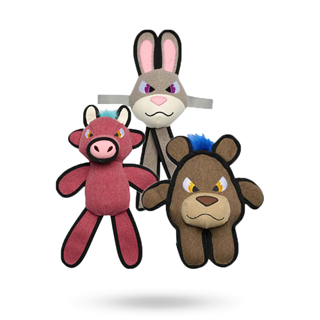 Companion Hundleksak I Kraftig Canvas