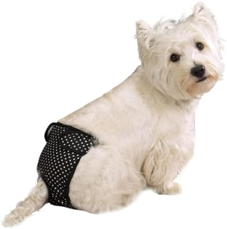 Cq Female Pup Pants Tikskydd - Svart