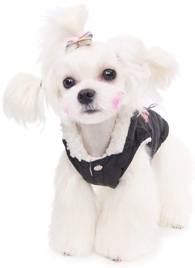 Shy Devil Padded Vest