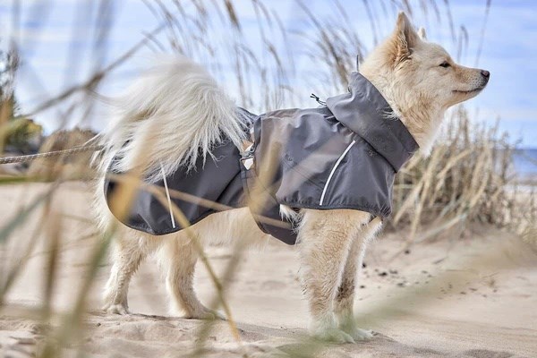 Hurtta ECO Mudventure Regntäcke - Blackberry