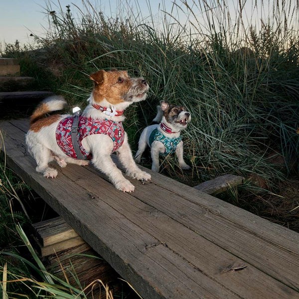 Hurtta ECO Safety Wrap - Reflexväst