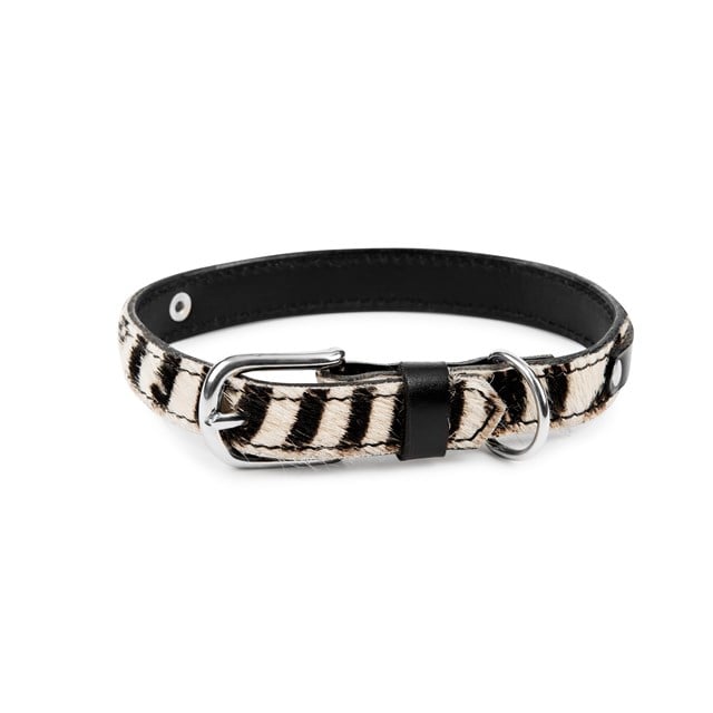 LUCKY ZEBRA - Läder Hundhalsband