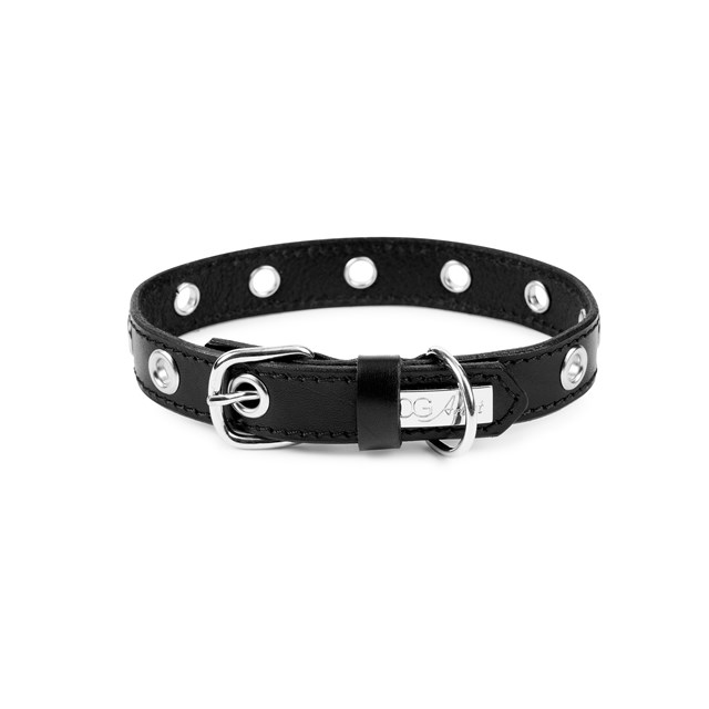 ROCK Black - Läder Hundhalsband