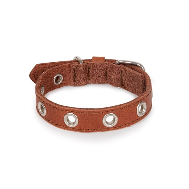 ROCK Brown - Läder Hundhalsband