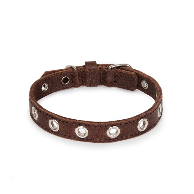 ROCK Dark Brown - Läder Hundhalsband