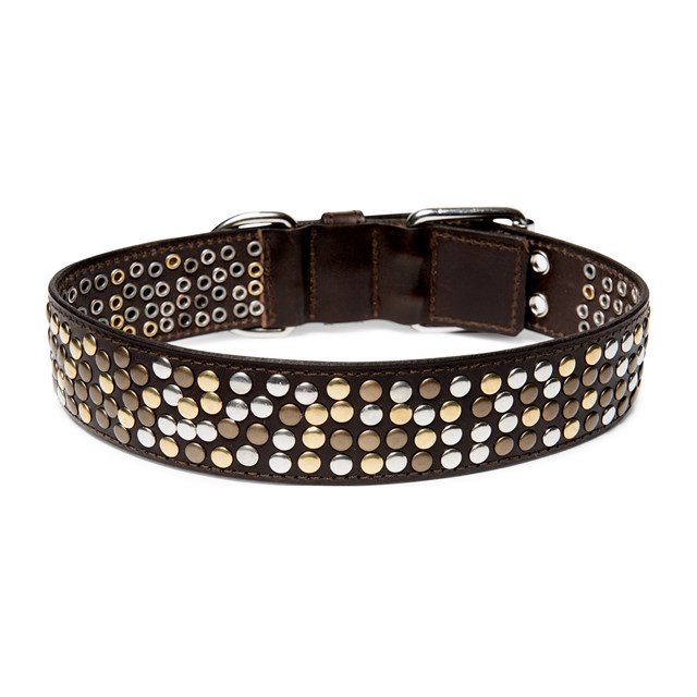 COOLSTUFF Brown - Läder Hundhalsband