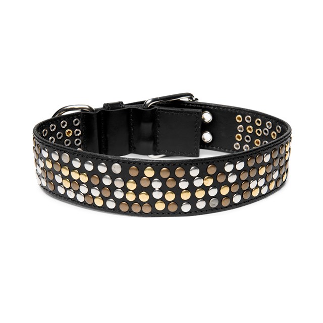 COOLSTUFF Black - Läder Hundhalsband