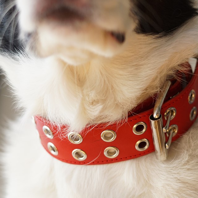 ROCK Red - Läder Hundhalsband