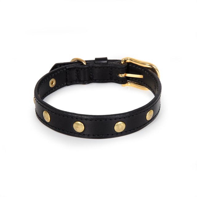 RIVET Black Gold - Läder Hundhalsband