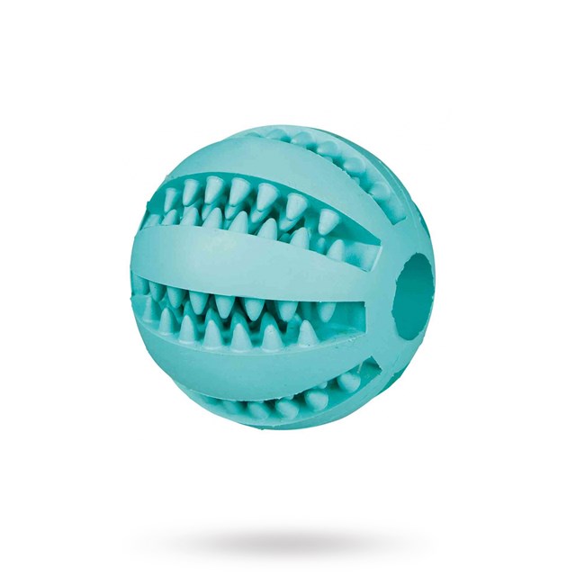 Denta Fun Boll Med Mintsmak