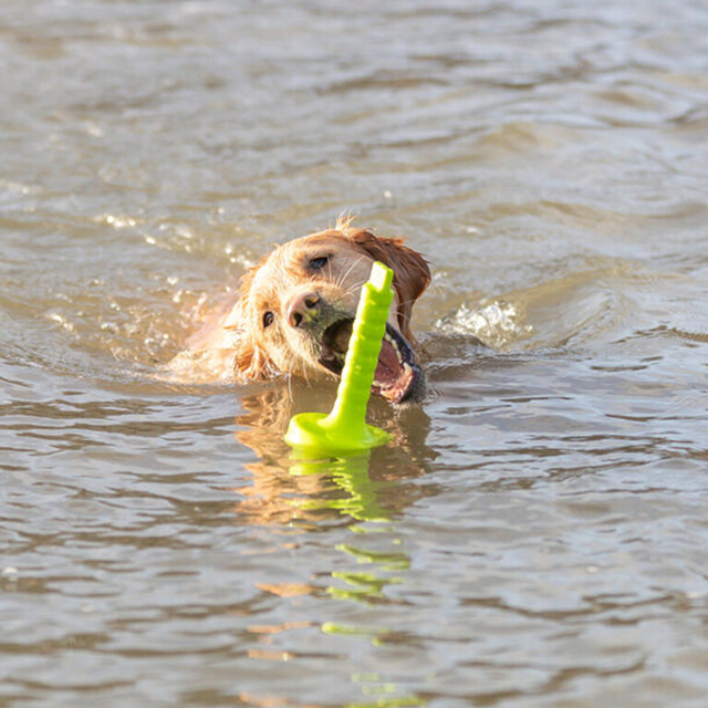 Dog Activity MOT Aqua Flytande Hundleksak Limegrön