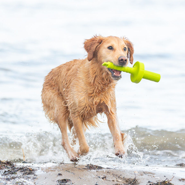 Dog Activity MOT Aqua Flytande Hundleksak Limegrön