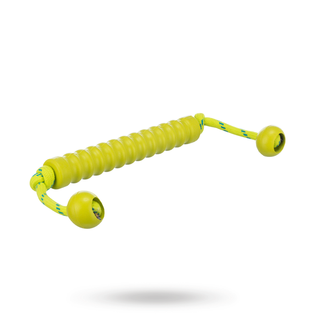 Dog Activity Mot-Long Lime
