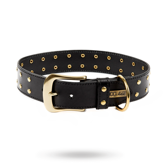 Rivet Brown - Läder Hundhalsband