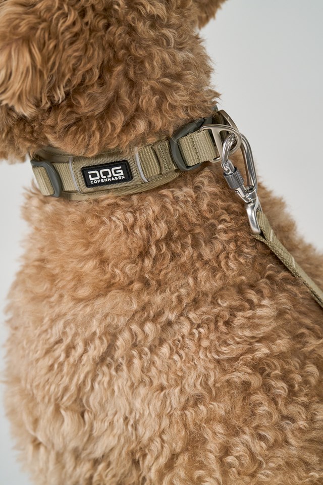 Urban Explorer 3.0 Halsband Desert Dune