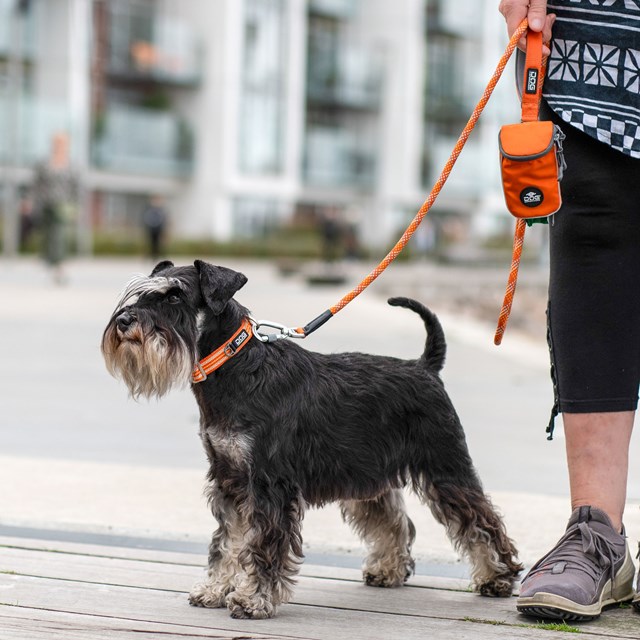 Urban Rope Leash Hundkoppel 3.0 - Orange Sun