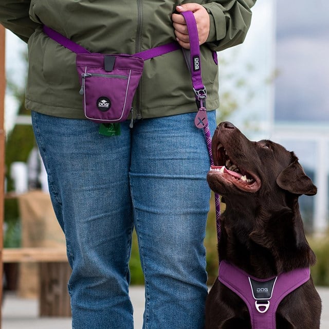 Urban Rope Leash Hundkoppel 3.0 - Purple Passion