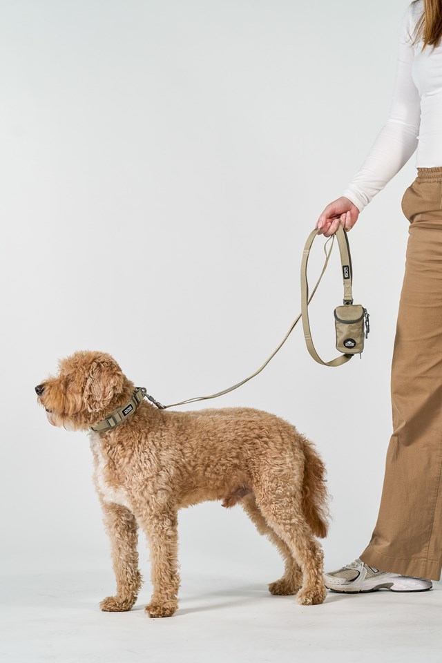 Urban Trail Leash 3.0 - Desert Dune