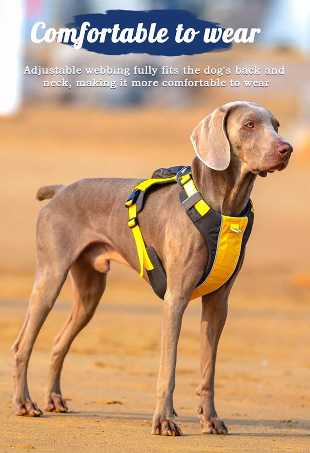 Safe-Walk Backpack Harness - Gul