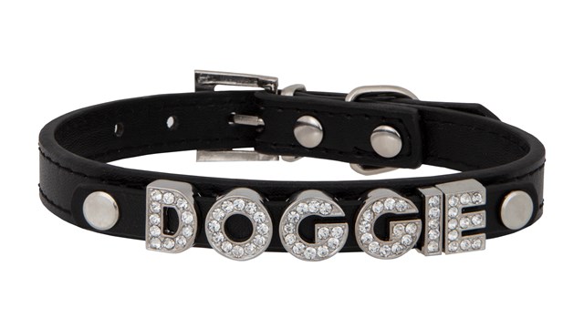 Personligt Hundhalsband Svart
