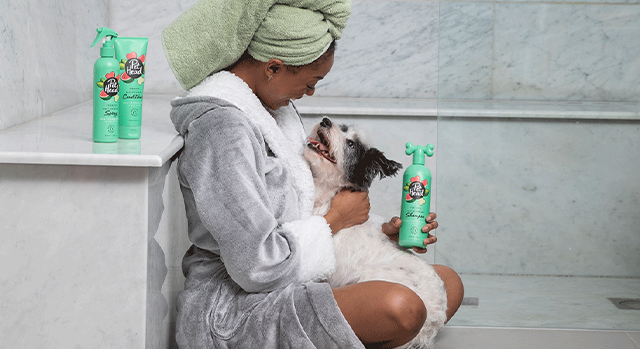 Fixa hundens päls – våra bästa pälsvårdstips!