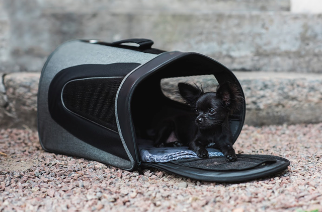 Dogman Bärväska Snobben upp till 7kg - Grå