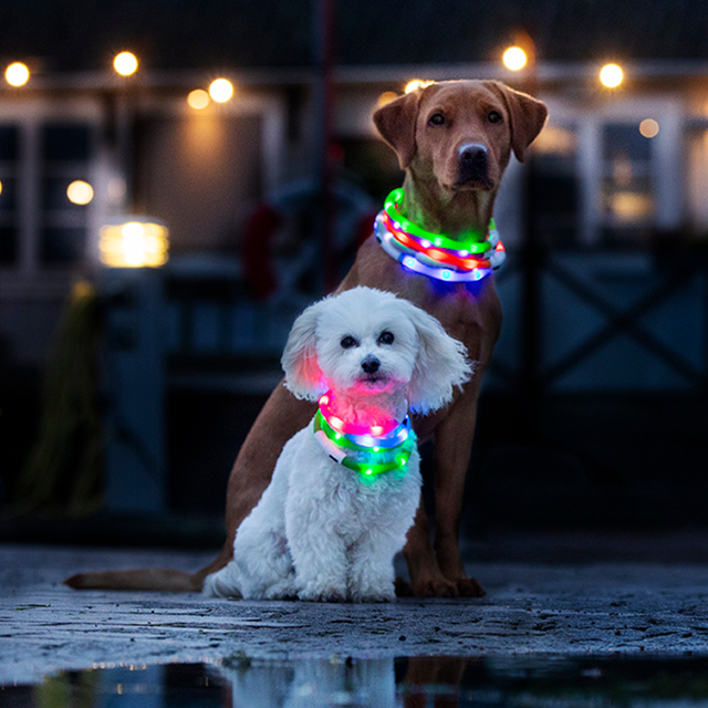 Dogman Blinkhalsband LED Rosa