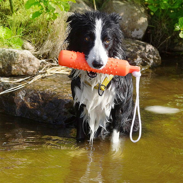 Dogman Dummie Flytande hundleksak