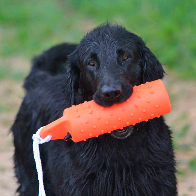 Dogman Dummie Flytande hundleksak