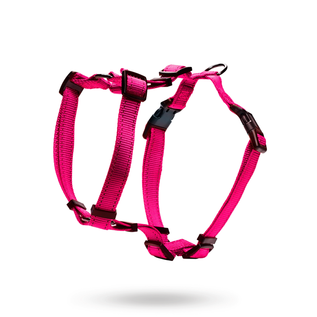 Dogman Hundsele Iris - Rosa