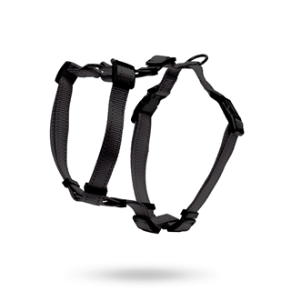 Dogman Hundsele Iris - Svart