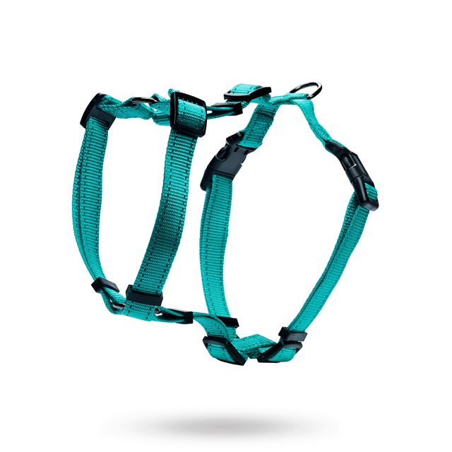 Dogman Hundsele Iris - Turkos