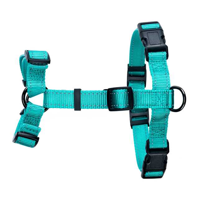 Dogman Hundsele Iris - Turkos