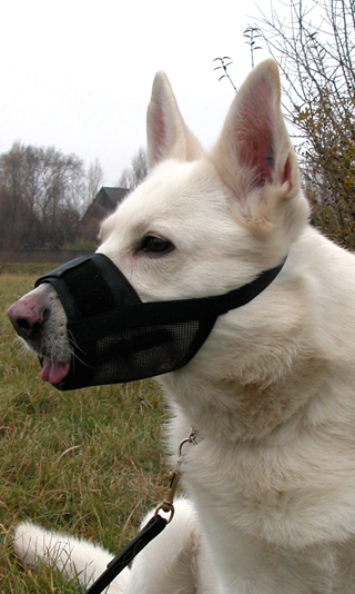 Dogman Munkorg Mjuk Svart