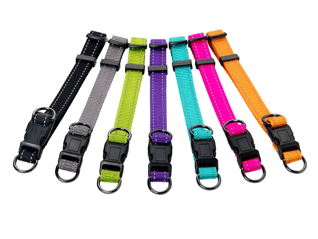 Dogman Nylonhalsband Iris ställbart - Grå