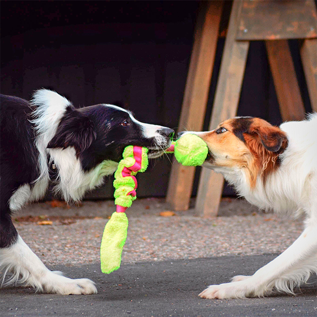 Dogman Stretchig Leksak Grön