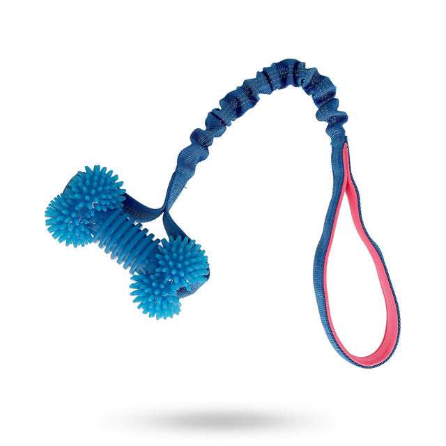 Dogman Valpleksak Ben - Blå/Rosa