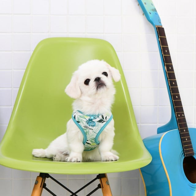 Rowan Aqua - Hundsele