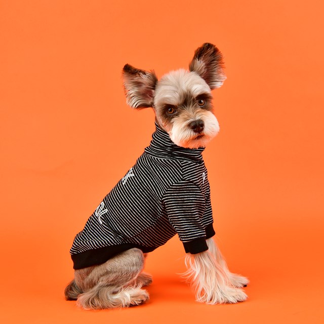 Back To School Black - Hundtröja