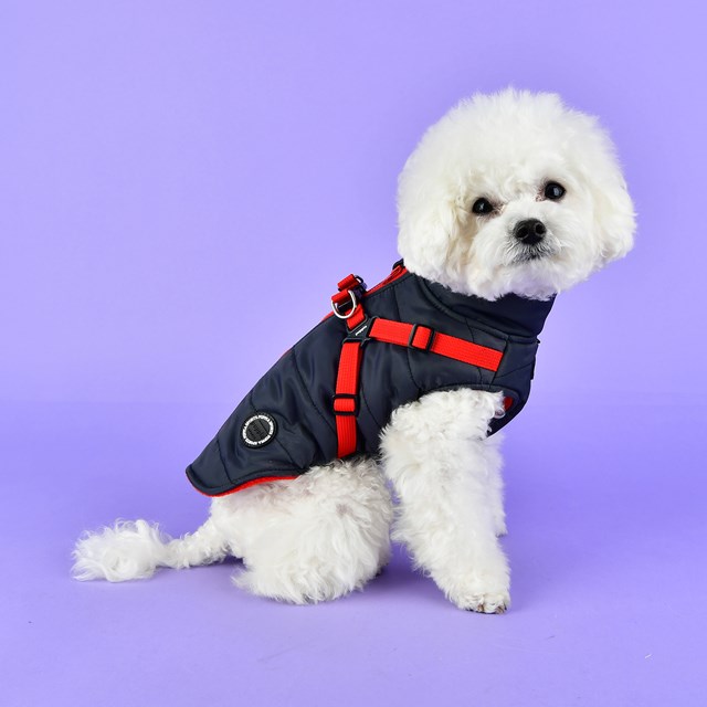 Mountaineer II Grey - Fodrat Hundtäcke med Integrerad Sele