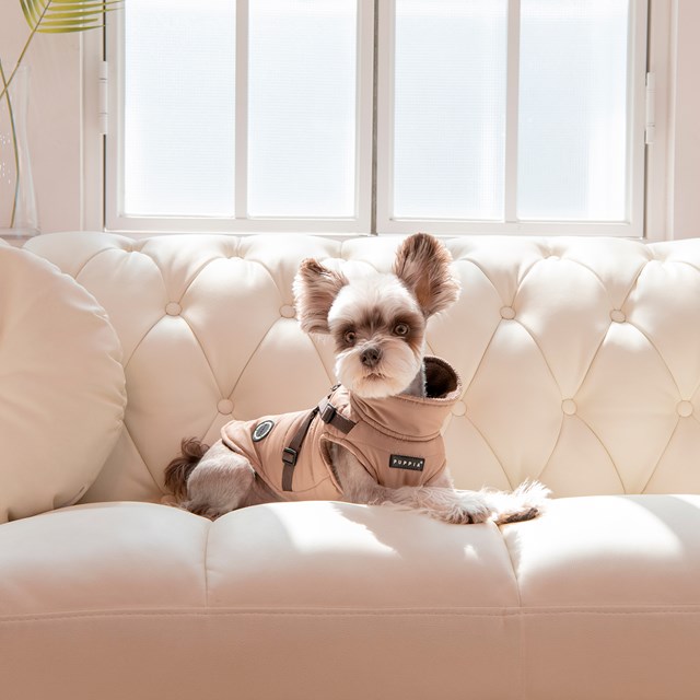 Mountaineer II Beige - Fodrat Hundtäcke med Integrerad Sele