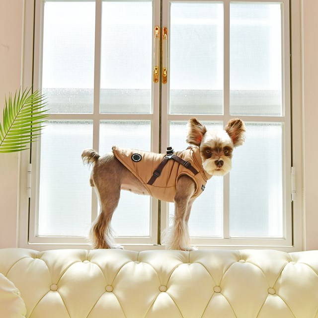 Mountaineer II Beige - Fodrat Hundtäcke med Integrerad Sele