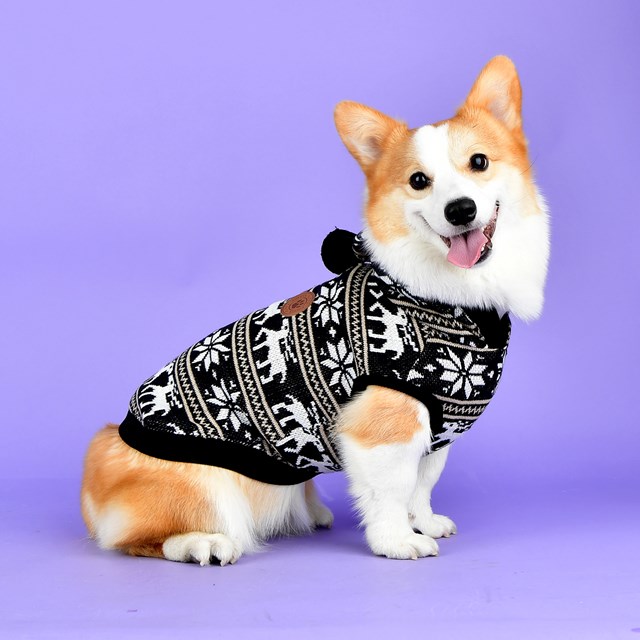 PRANCER - Stickad Hundtröja Med Luva