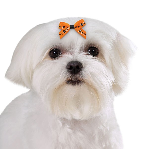 Midnight Magic Hårband