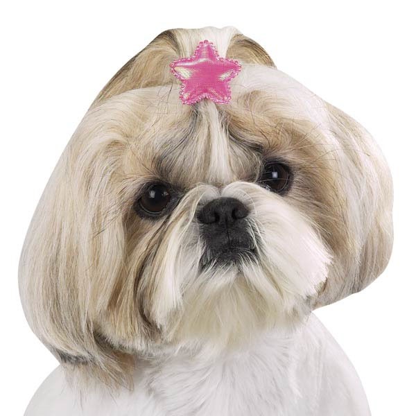 Aria Lily Barrette Star