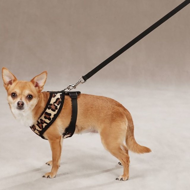 Plush Print Sele Leopard - Large