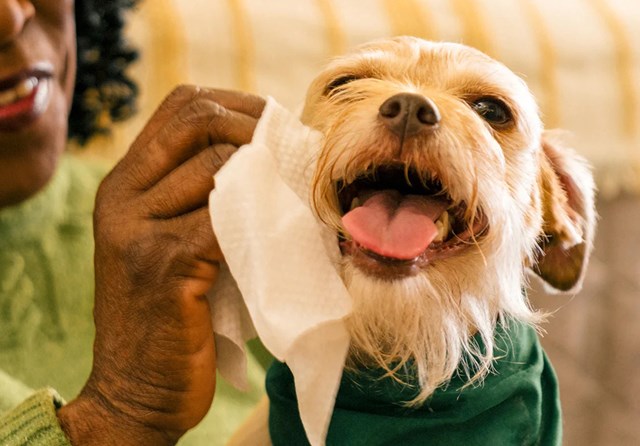 Earth Rated Wipes 100-pack - doftfria